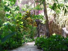picture of Le Jardin des papillons
