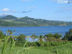 photo de SENTIER DE POINTE ROUGE