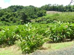 foto di JARDIN HORTICOLE PETIT GALION