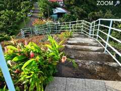 photo de POINT DE VUE DU MORNE GOMMIER