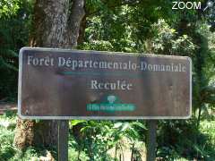 photo de FORÊT DE RECULEE 