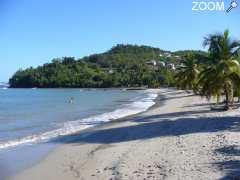 foto di FETE DE L'ANSE à L'ANE