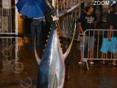 photo de TOURNOI INTERNATIONAL DE PÊCHE SPORTIVE