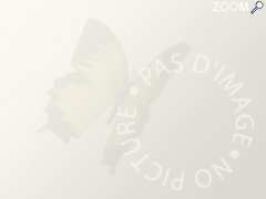 photo de Billabong