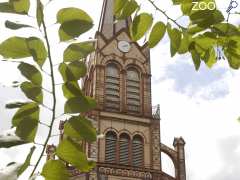 picture of Cathédrale Saint-Louis