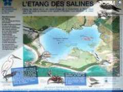 picture of L' ETANG DES SALINES "Grand Site"