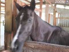 photo de CENTRE EQUESTRE