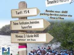 picture of "Route des Anses"  Anse à l 'Ane / Grande Anse