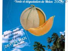 picture of FETE DU MELON